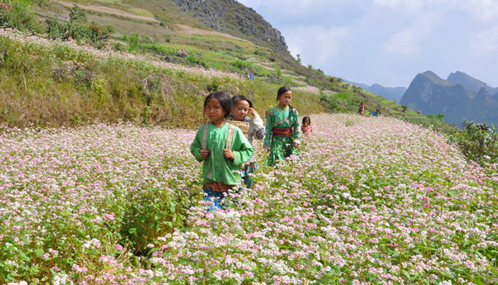 Ha Giang tour