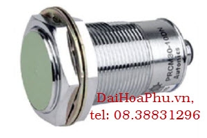 Magnetic sensor