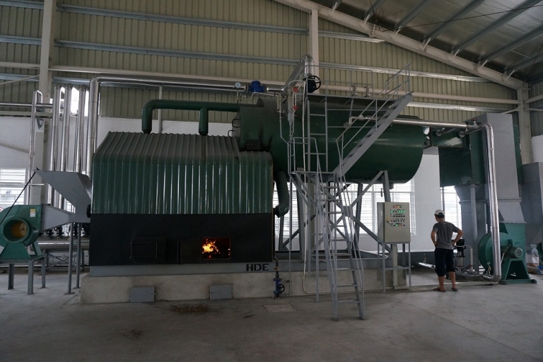 Multi-fuel boiler