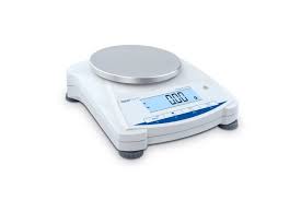Electronic scale