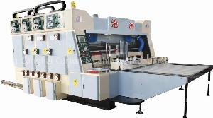 Flexo printer