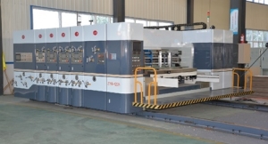 Flexo printer