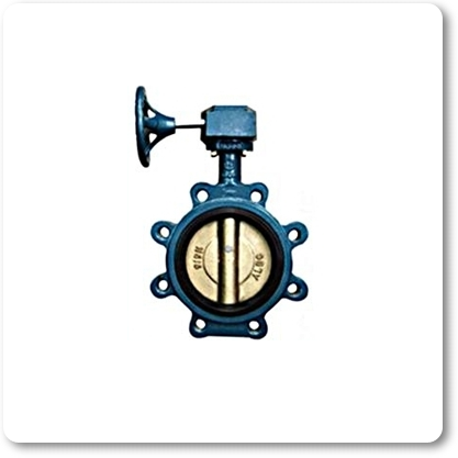 Butterfly Valve
