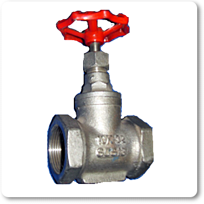 Globe Valve