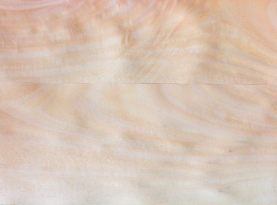 Mango veneer