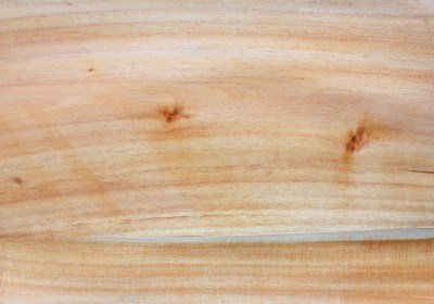 Oval veneer