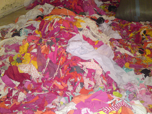 Fabric scrap