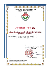 Outstanding Rural Industrial Products Certificate