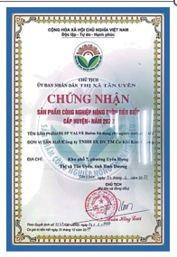Outstanding Rural Industrial Products Certificate