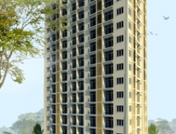 Tai My Real Estate Company