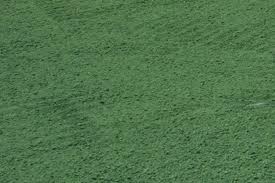 Green pigment