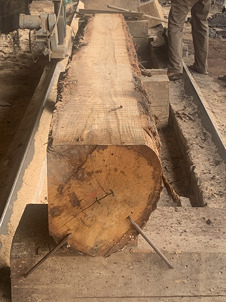 Sawning, Cutting and Drying Wood