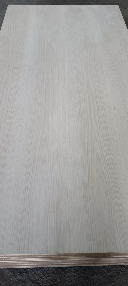 Veneer Coating and Gluing