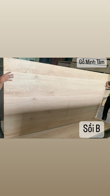 Veneer Coating and Gluing