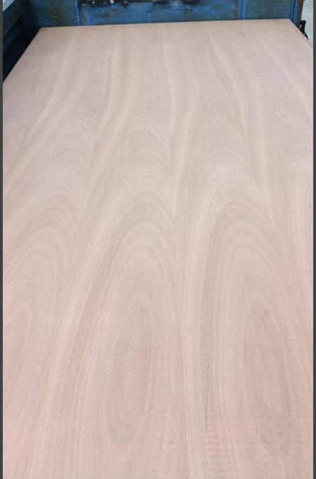 Veneer Coating and Gluing