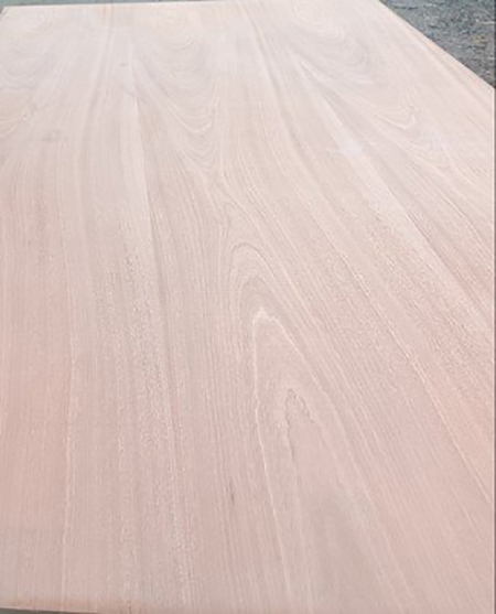Veneer Coating and Gluing