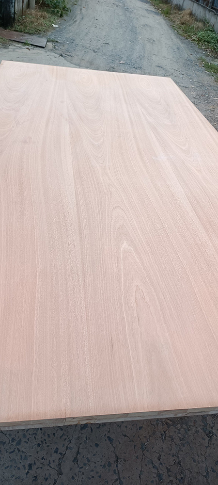 Veneer Coating and Gluing