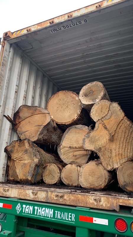 Round Oak