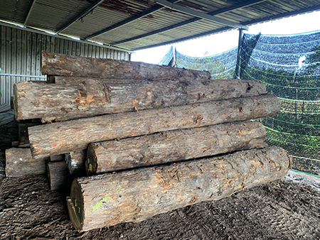 Round Oak