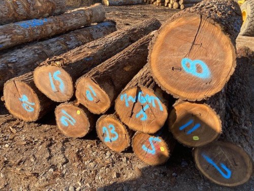 Round Oak