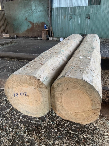 New Zealand Round Pine Wood