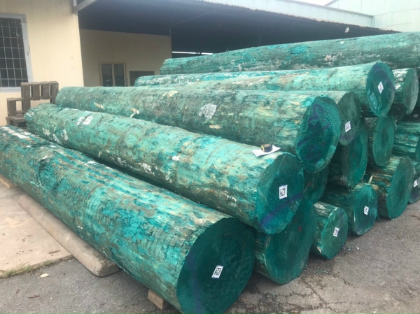 New Zealand Round Pine Wood