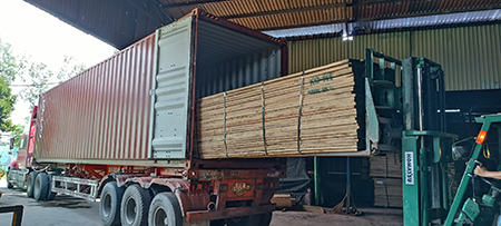 Imported Lumber