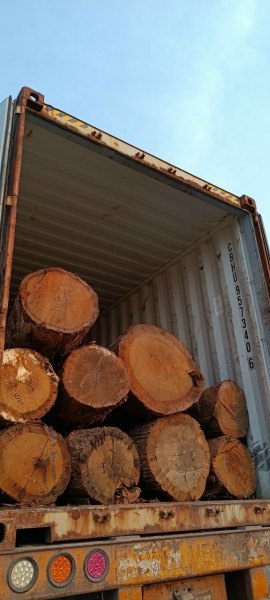 Round America White Oak