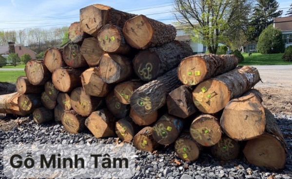 Round Oak