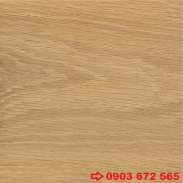 Oak wood