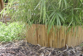 BAMBOO FENCE