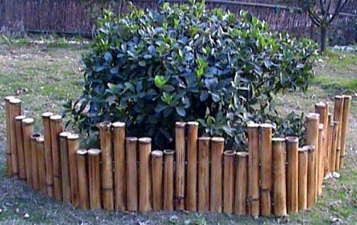 Bamboo Edging