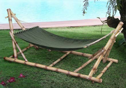 TROPICANA  HAMMOCK