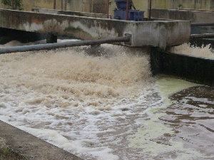 Waste treament systems