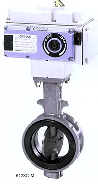 Electric butterfly valve
