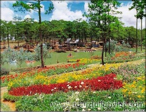 Da Lat tour