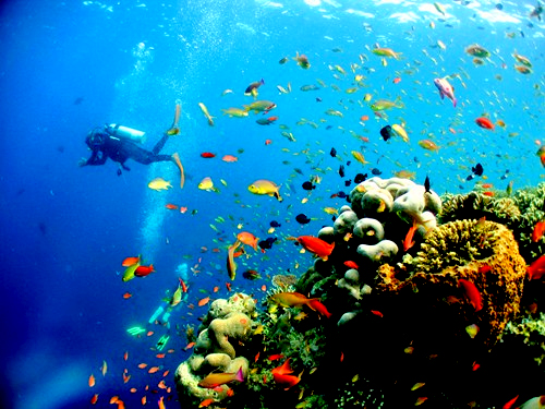 Phu Quoc tour