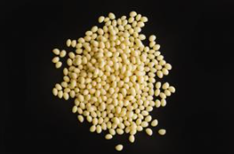Glue pellet