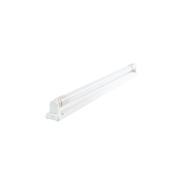 LED light