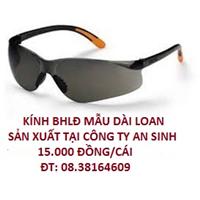 Safety Goggles
