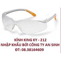 Safety Goggles