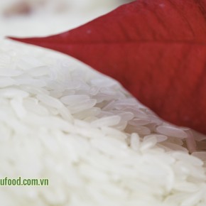 OM5451 Rice