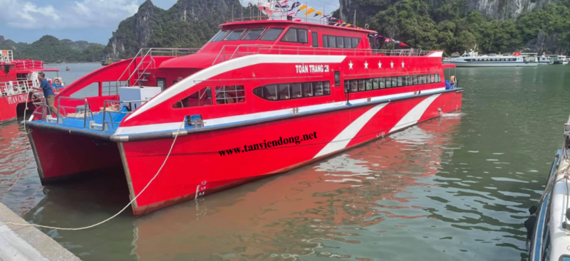 Double-hull speed ship TVD-CATA2988
