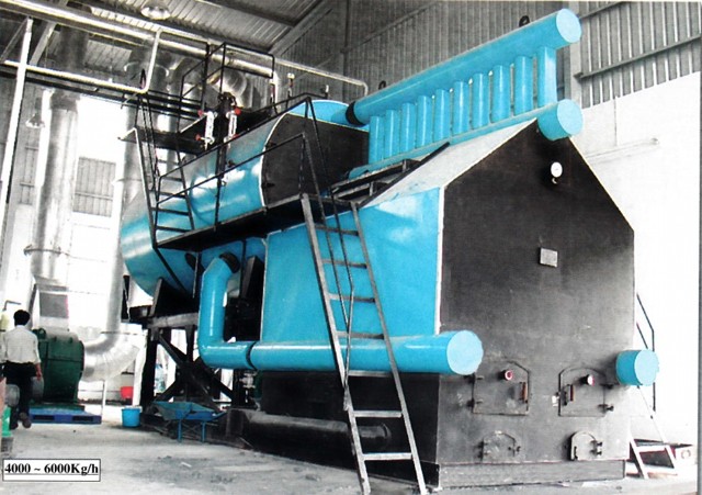 Coal fired boiler