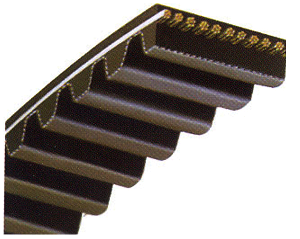 Toothed belt