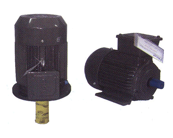 3 phase motor