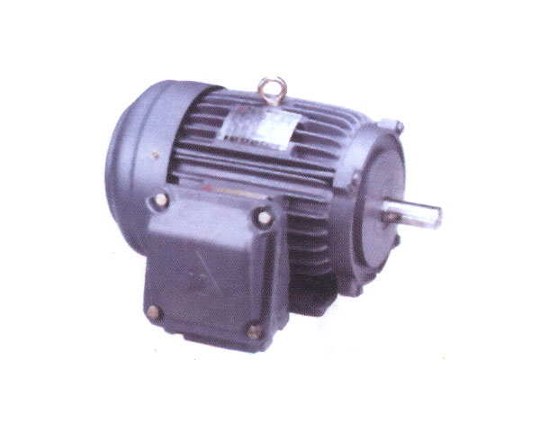 Safety Increased Motor