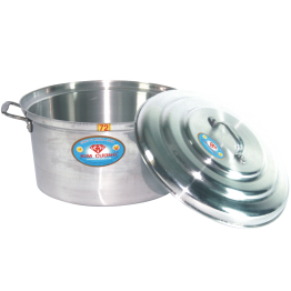 Stainless steel pot