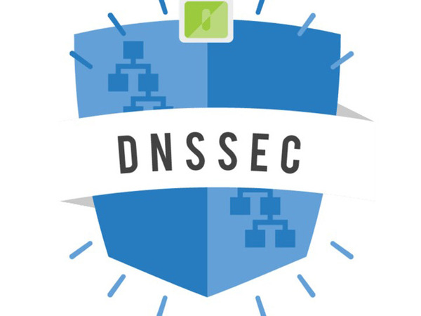 Domain name security via DNS system