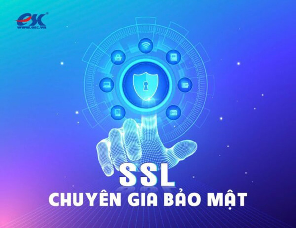 SSL certificates
